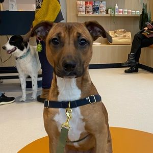 Meet your Posher, Li